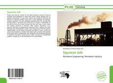 Capa do livro de Squeeze Job 