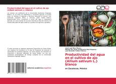 Bookcover of Productividad del agua en el cultivo de ajo (Allium sativum L.) blanco