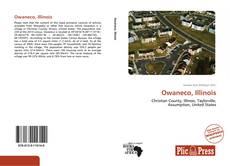 Bookcover of Owaneco, Illinois