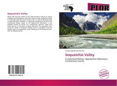 Buchcover von Sequatchie Valley