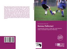 Capa do livro de Romeu Pellicciari 