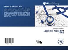 Обложка Sequence-Dependent Setup