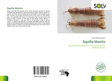 Bookcover of Squilla Mantis