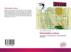 Bookcover of Telmatobius culeus