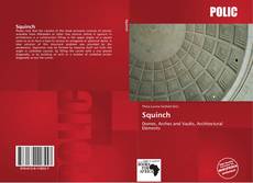 Bookcover of Squinch