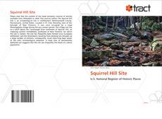 Portada del libro de Squirrel Hill Site