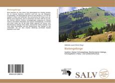 Capa do livro de Bielengebirge 