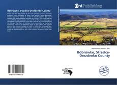 Portada del libro de Bobrówko, Strzelce-Drezdenko County