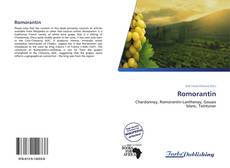 Buchcover von Romorantin