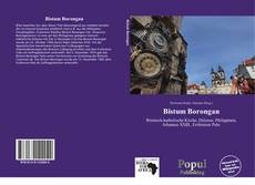 Portada del libro de Bistum Borongan