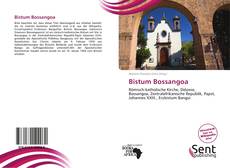 Couverture de Bistum Bossangoa