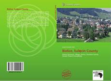 Capa do livro de Bielice, Sulęcin County 