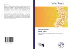 Bookcover of Visco Fuse