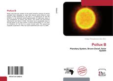 Buchcover von Pollux B