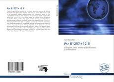 Couverture de Psr B1257+12 B