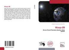 Buchcover von Wasp-2B