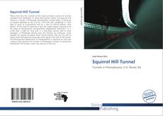 Bookcover of Squirrel Hill Tunnel