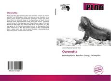 Buchcover von Owenetta