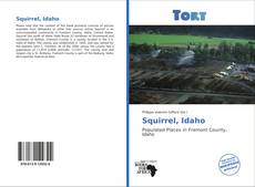 Bookcover of Squirrel, Idaho
