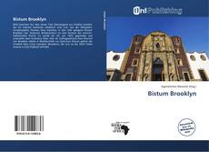 Portada del libro de Bistum Brooklyn