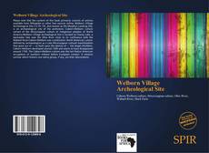 Bookcover of Welborn Village Archeological Site