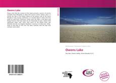 Bookcover of Owens Lake