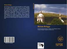 Bookcover of Bistum Brügge