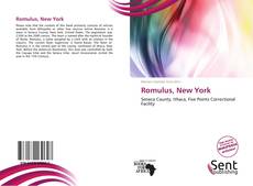 Buchcover von Romulus, New York