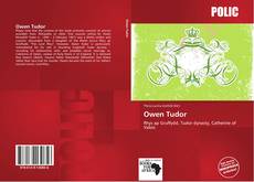 Bookcover of Owen Tudor