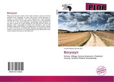 Buchcover von Boryszyn