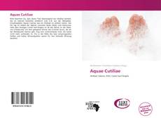 Bookcover of Aquae Cutiliae
