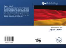 Bookcover of Aquae Granni