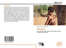 Bookcover of Neapope