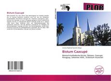 Buchcover von Bistum Caacupé