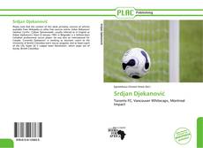 Capa do livro de Srdjan Djekanović 