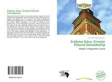 Portada del libro de Srebrna Góra, Greater Poland Voivodeship