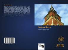 Bookcover of Srebrny Borek