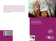 Buchcover von Srebrzyszcze