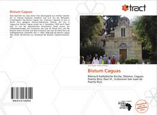 Bookcover of Bistum Caguas