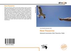 Capa do livro de Near Passerine 