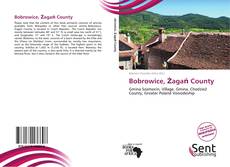 Couverture de Bobrowice, Żagań County