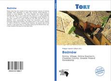 Capa do livro de Bożnów 