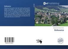 Portada del libro de Dzikowice