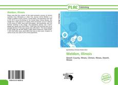 Capa do livro de Weldon, Illinois 