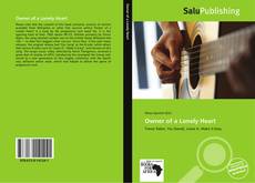 Bookcover of Owner of a Lonely Heart