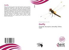 Buchcover von Owlfly