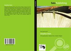 Bookcover of Owyhee Dam