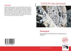 Couverture de Temazcal