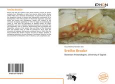 Capa do livro de Srečko Brodar 