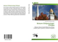 Bistum Chilpancingo-Chilapa kitap kapağı
